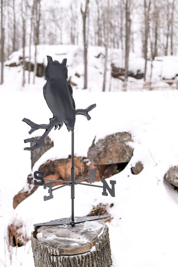 Weathervane - owl custom - Vinyet Etc