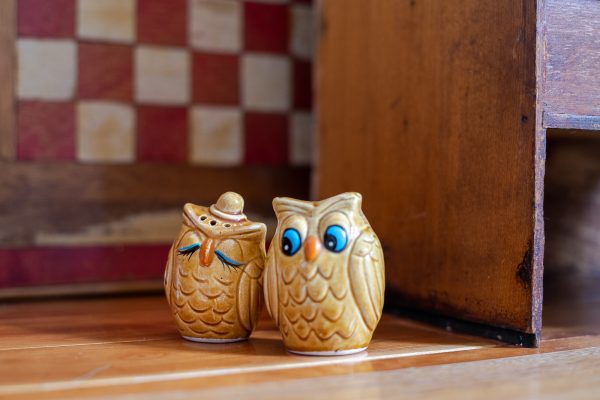 Vintage Salt and Pepper Shakers - Inseparable Owl Sweethearts