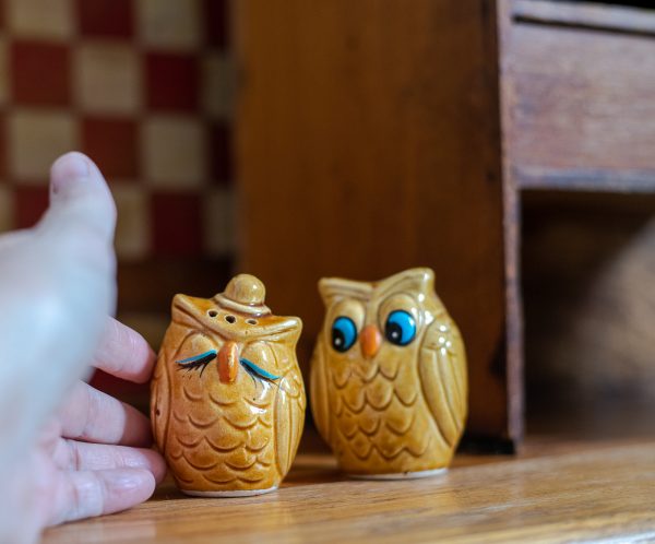 Vintage Salt and Pepper Shakers - Inseparable Owl Sweethearts