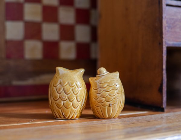 Vintage Salt and Pepper Shakers - Inseparable Owl Sweethearts