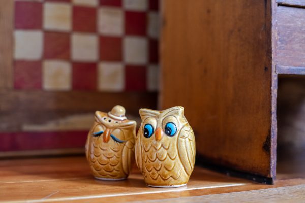 Vintage Salt and Pepper Shakers - Inseparable Owl Sweethearts