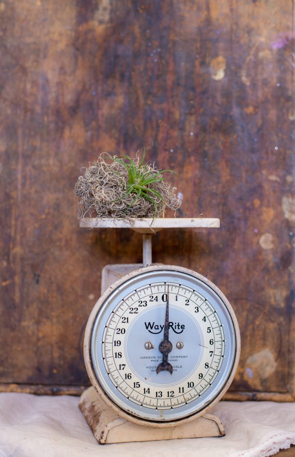 Vintage Way Rite - 25 lb metal kitchen scale, Hanson Scale co. Made in Chicago, Il