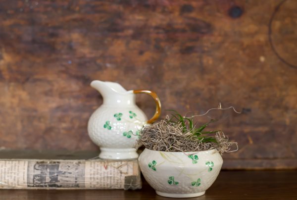 Vintage Belleek, Shamrock Creamer and Sugar