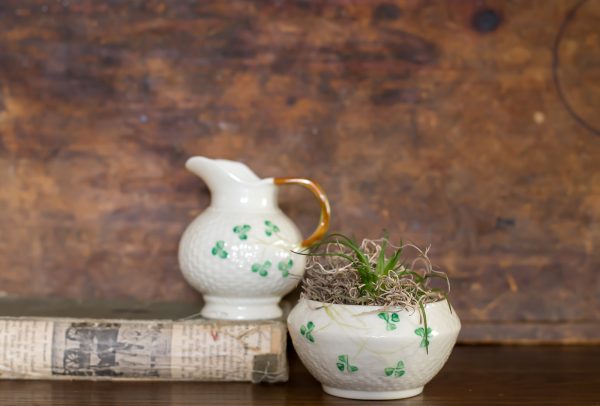 Vintage Belleek, Shamrock Creamer and Sugar