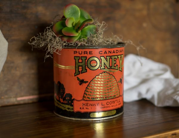 Vintage Pure Canadian Honey Advertising Tin